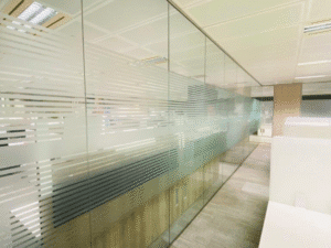 Glass Partition